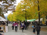 08102612.IMG_2202.JPG