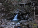 IMG_1389.JPG