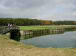 08111812.SANY0024.JPG
