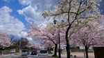 20160414_152430.jpg