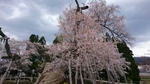20160421_091740.jpg