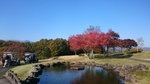20161110_195234.jpg