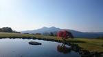 20161110_195245.jpg