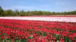 20170503_120213467.jpg