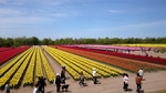 20170503_122425461.jpg