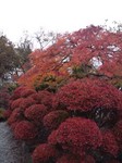 DSC_0102.jpg