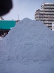 DSC_0173.jpg