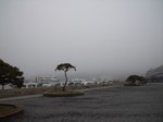 DSC_0217.jpg