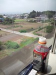 DSC_0246.jpg