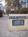 DSC_0379.jpg