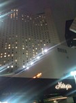 DSC_0443.jpg