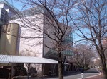DSC_0464.jpg