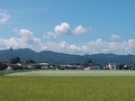 DSC_0707.jpg