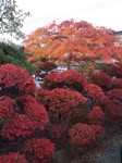 DSC_0746.jpg