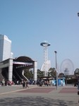 DSC_0904.jpg