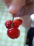 DSC_1006.jpg