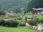IMG_0808.JPG